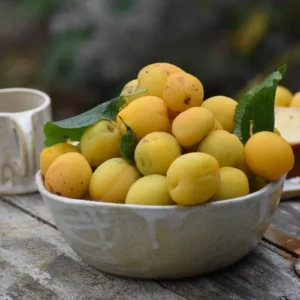 Fuente Frutera
